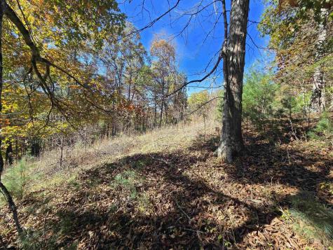 0 Route 219 Road Kerens WV 26276