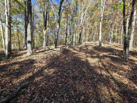 0 Route 219 Road Kerens WV 26276