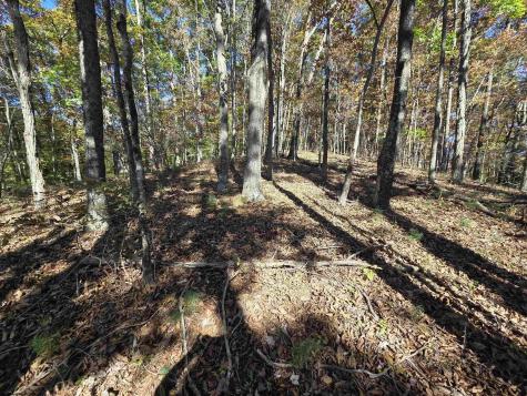 0 Route 219 Road Kerens WV 26276