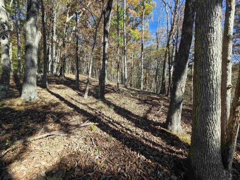 0 Route 219 Road Kerens WV 26276