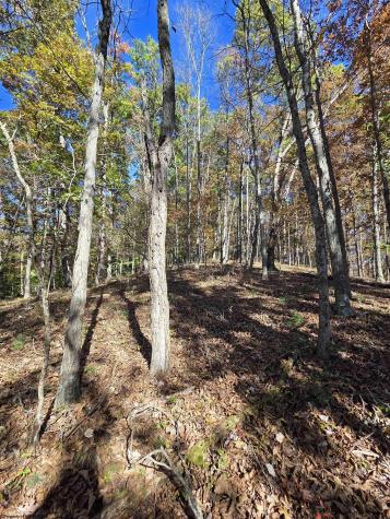 0 Route 219 Road Kerens WV 26276