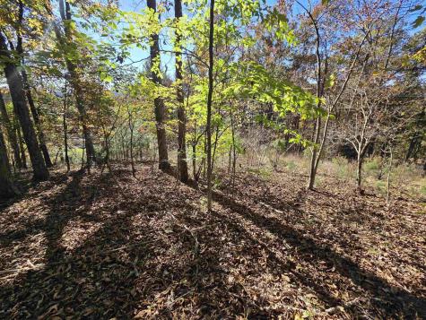 0 Route 219 Road Kerens WV 26276