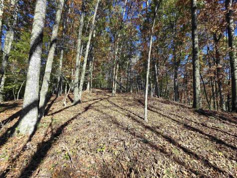 0 Route 219 Road Kerens WV 26276