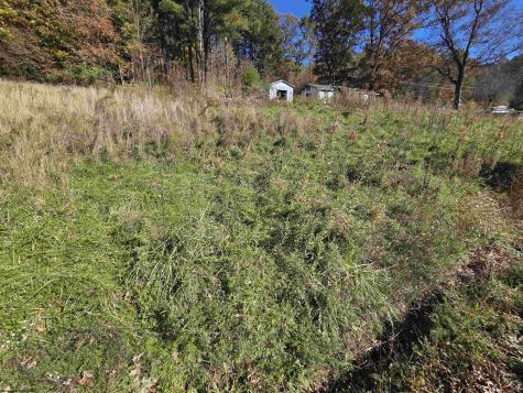 0 Route 219 Road Kerens WV 26276