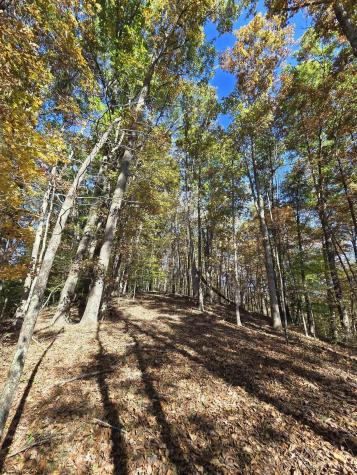 0 Route 219 Road Kerens WV 26276