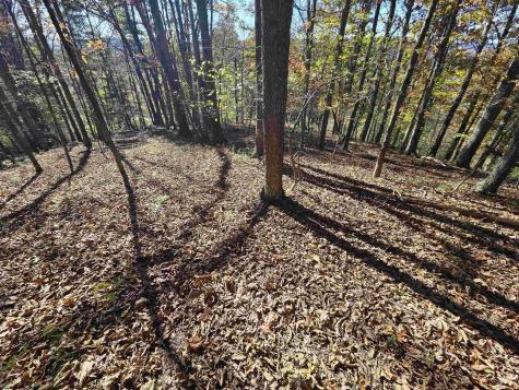 0 Route 219 Road Kerens WV 26276