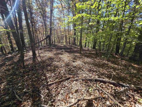 0 Route 219 Road Kerens WV 26276