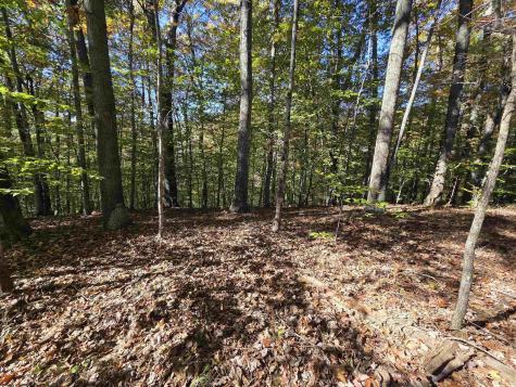0 Route 219 Road Kerens WV 26276