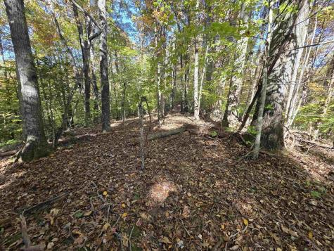 0 Route 219 Road Kerens WV 26276