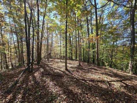 0 Route 219 Road Kerens WV 26276