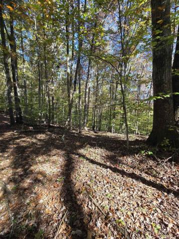 0 Route 219 Road Kerens WV 26276