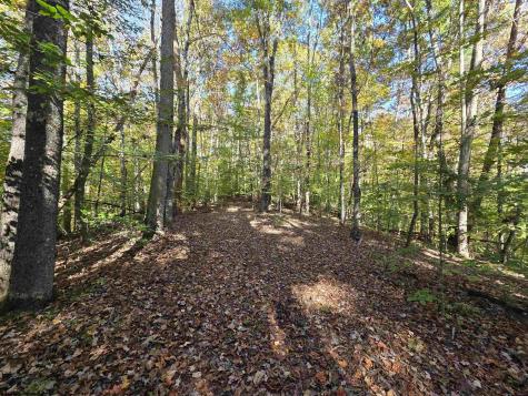 0 Route 219 Road Kerens WV 26276