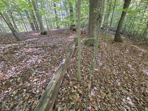 0 Route 219 Road Kerens WV 26276