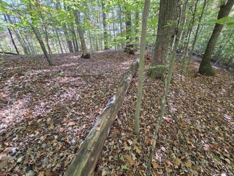 0 Route 219 Road Kerens WV 26276