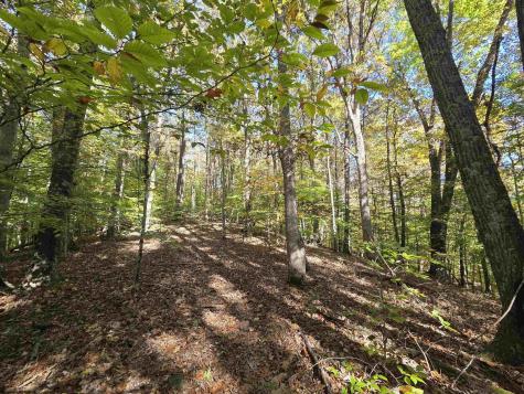 0 Route 219 Road Kerens WV 26276