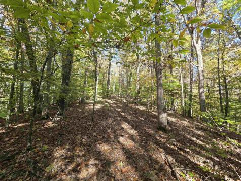 0 Route 219 Road Kerens WV 26276