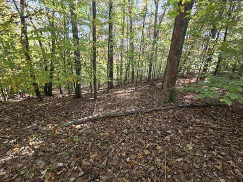 0 Route 219 Road Kerens WV 26276