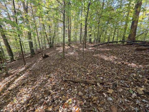 0 Route 219 Road Kerens WV 26276