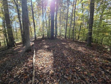 0 Route 219 Road Kerens WV 26276