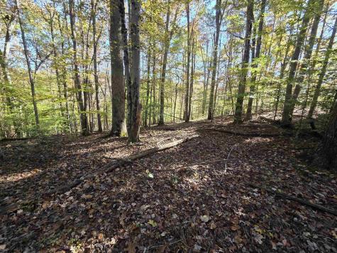 0 Route 219 Road Kerens WV 26276