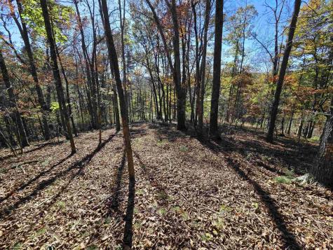 0 Route 219 Road Kerens WV 26276
