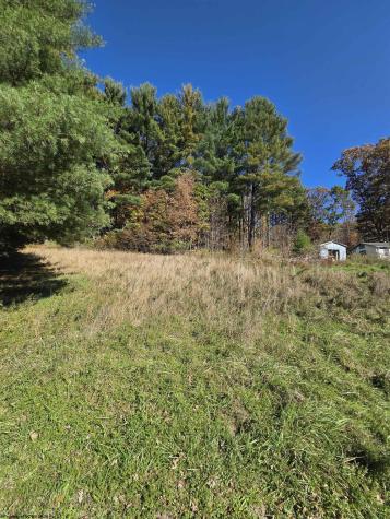 0 Route 219 Road Kerens WV 26276