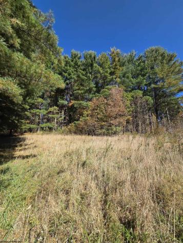 0 Route 219 Road Kerens WV 26276