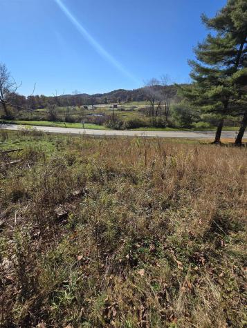 0 Route 219 Road Kerens WV 26276