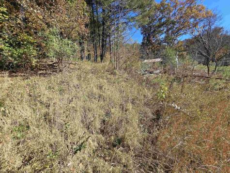 0 Route 219 Road Kerens WV 26276