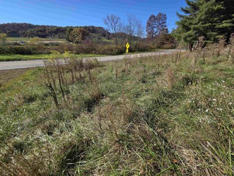 0 Route 219 Road Kerens WV 26276