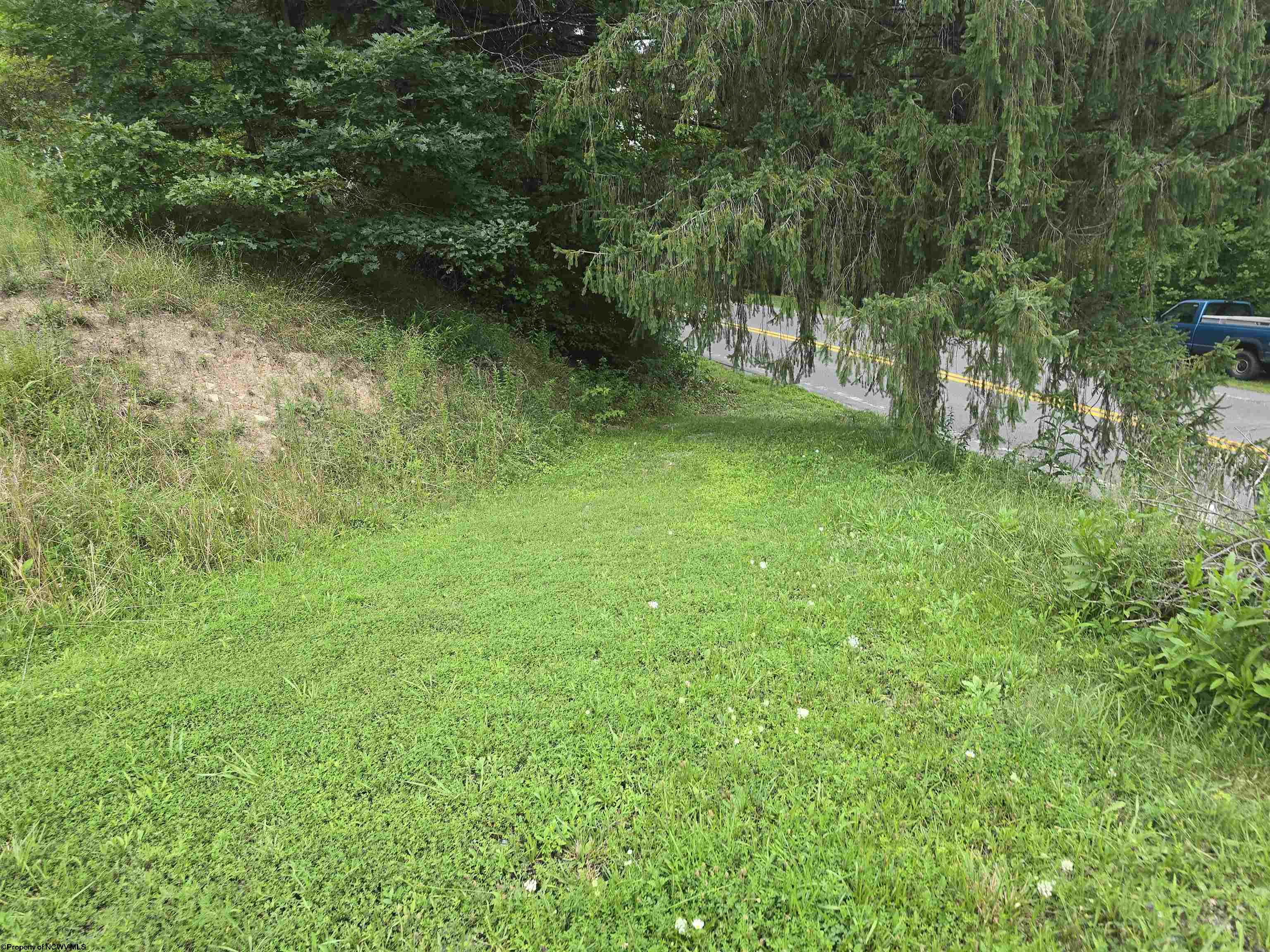 15090 Route 20 South Road Rock Cave WV 26234