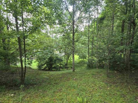 15090 Route 20 South Road Rock Cave WV 26234