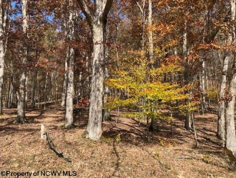 TBD Holly Meadows Road Parsons WV 26287