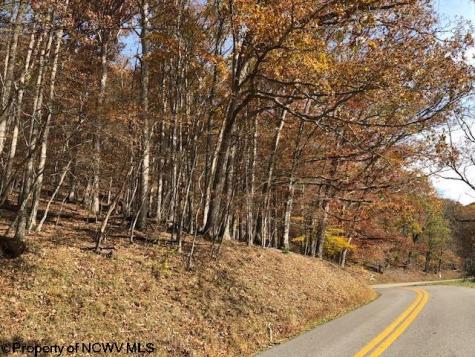 0 Holly Meadows Road Parsons WV 26287