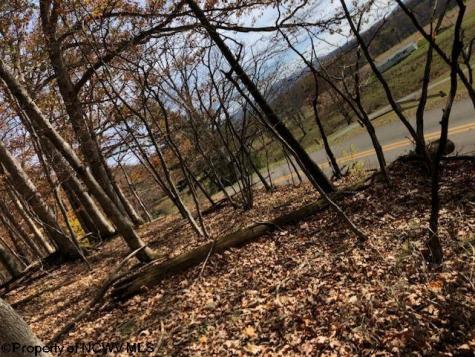 0 Holly Meadows Road Parsons WV 26287