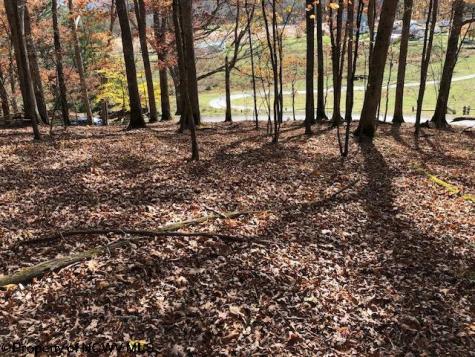 0 Holly Meadows Road Parsons WV 26287