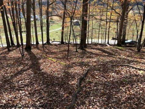 0 Holly Meadows Road Parsons WV 26287