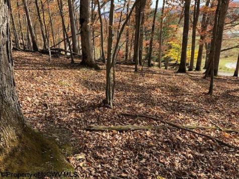 0 Holly Meadows Road Parsons WV 26287