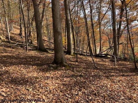 0 Holly Meadows Road Parsons WV 26287