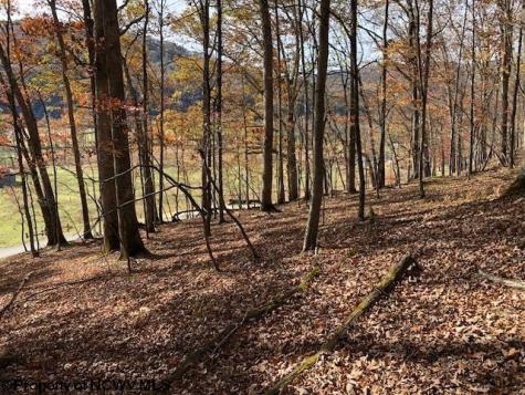 0 Holly Meadows Road Parsons WV 26287