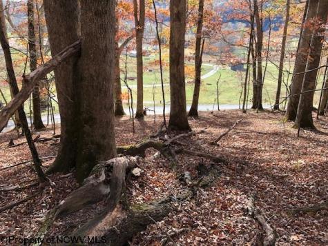 0 Holly Meadows Road Parsons WV 26287