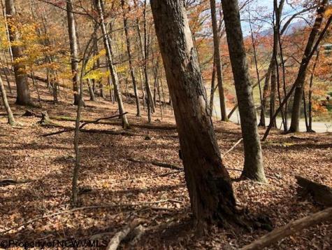 0 Holly Meadows Road Parsons WV 26287