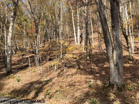 TBD Holly Meadows Road Parsons WV 26287