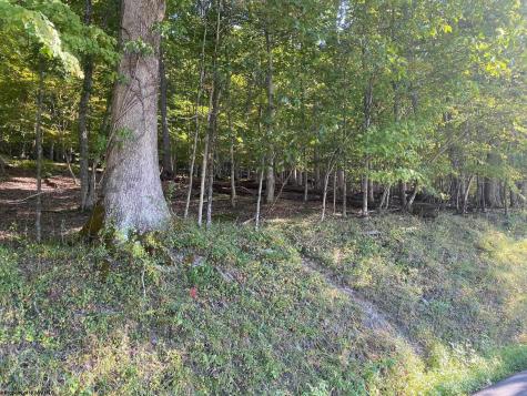 0 Holly Meadows Road Parsons WV 26287