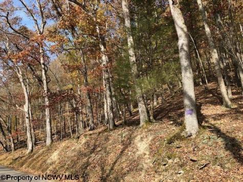 TBD Holly Meadows Road Parsons WV 26287