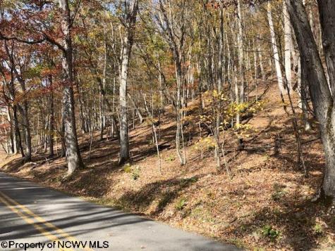 0 Holly Meadows Road Parsons WV 26287