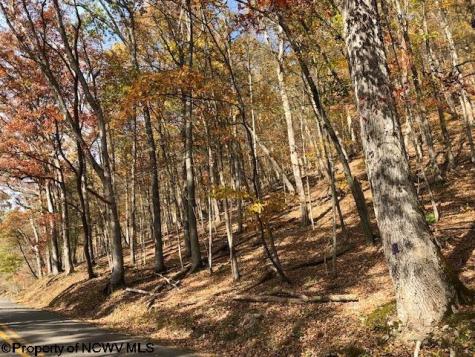 0 Holly Meadows Road Parsons WV 26287