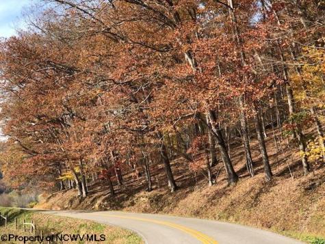 0 Holly Meadows Road Parsons WV 26287