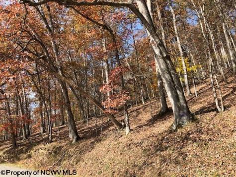 0 Holly Meadows Road Parsons WV 26287