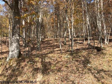 0 Holly Meadows Road Parsons WV 26287